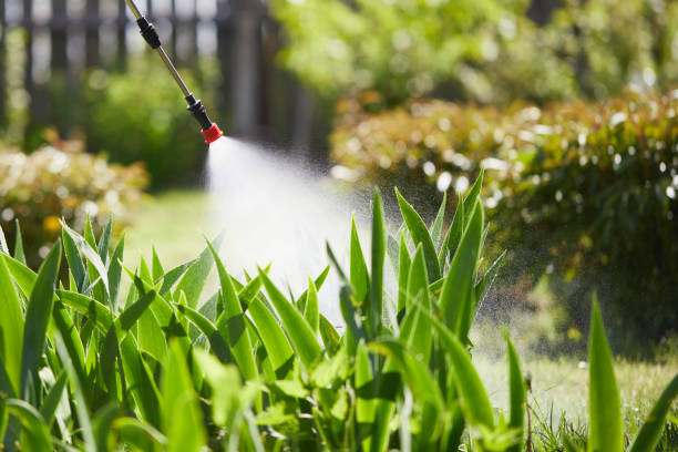 Tamper-Resistant Bait Stations for Rodents in Sumas